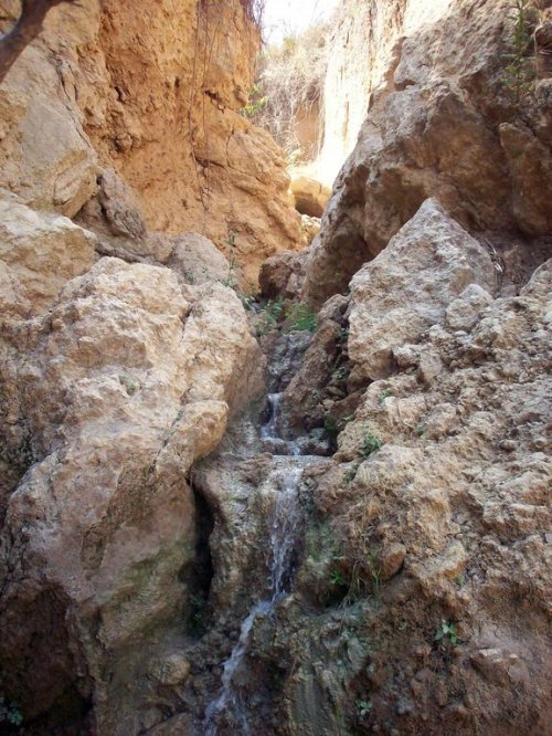 Imagen: cascada fuente de la dehesilla